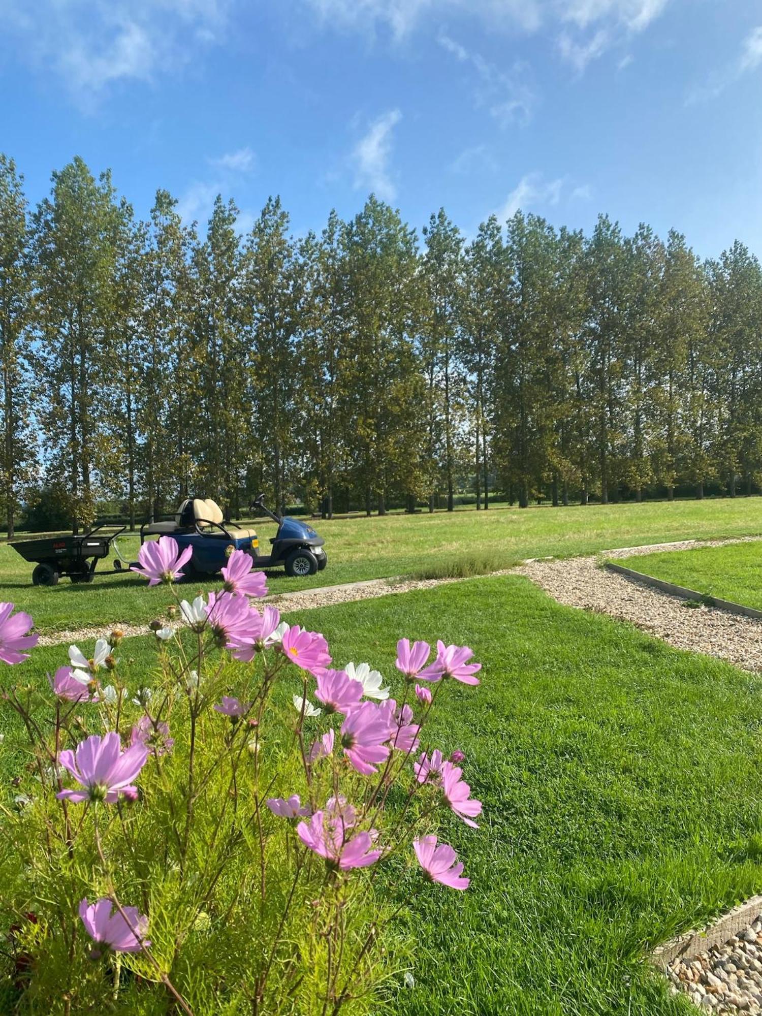 Tall Trees Glamping Baltonsborough Buitenkant foto